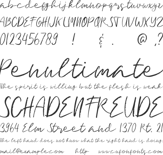 Signature Brush font preview