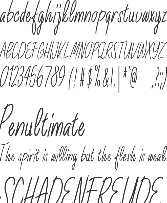Salvinia font preview