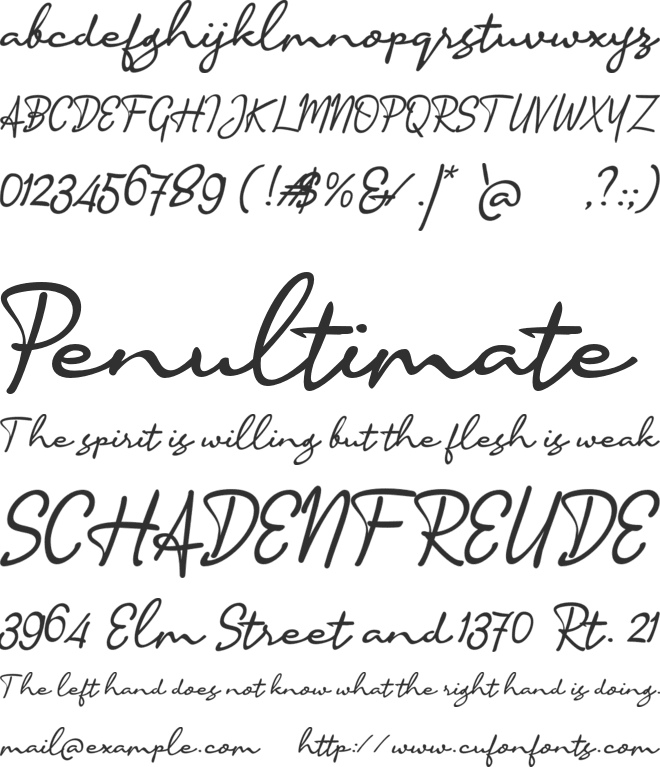 a Accountant Signature font preview