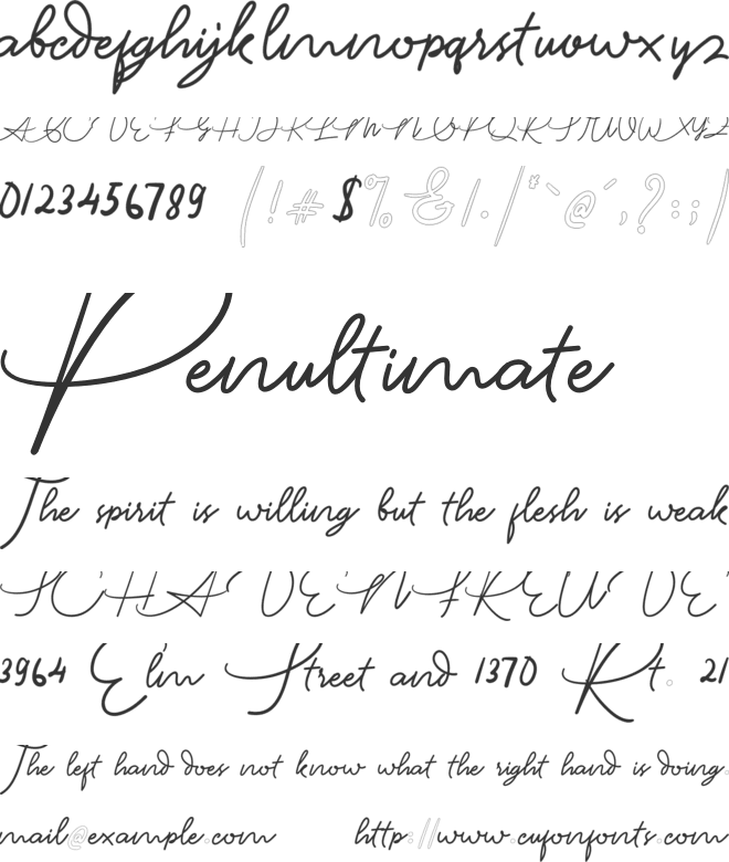 Louis Robert font preview