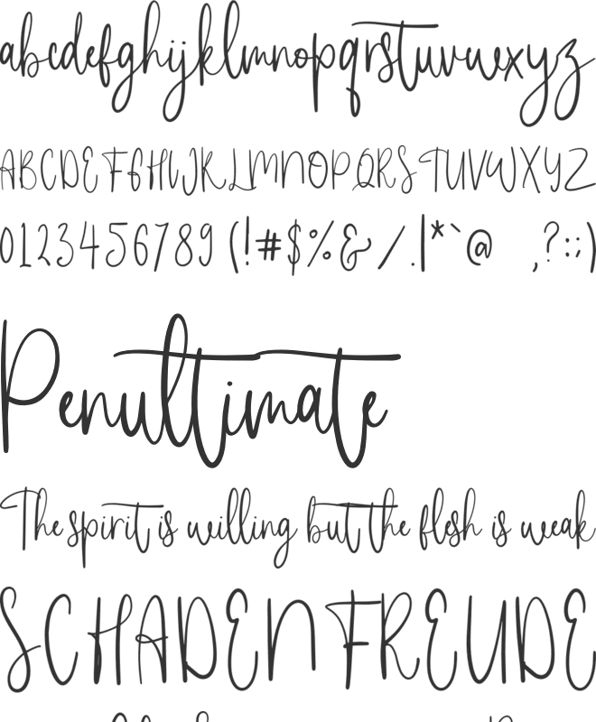 South Rose font preview