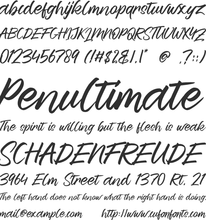 Reaktions Story font preview