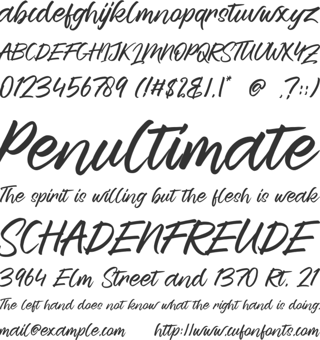 Reaktions Story font preview