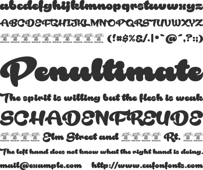 Rakoon Personal Use font preview