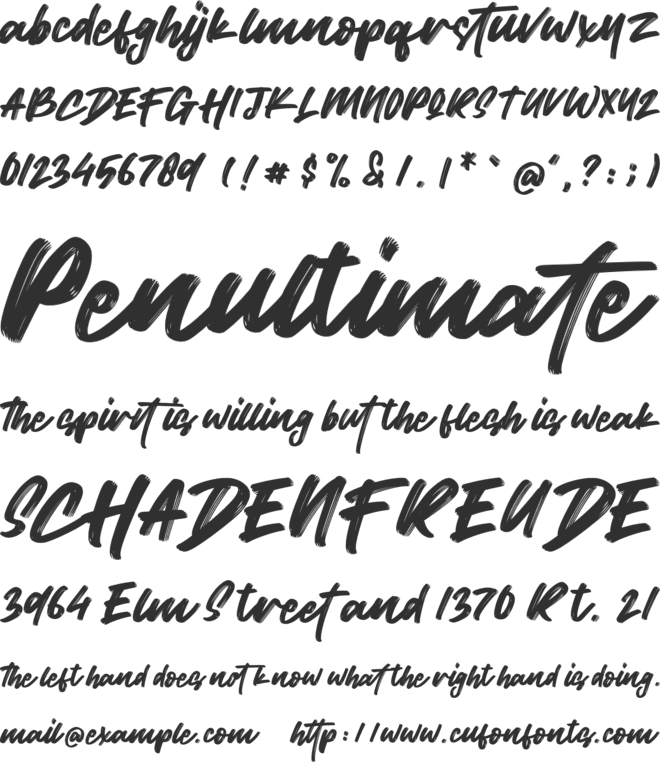 Wild Youth font preview