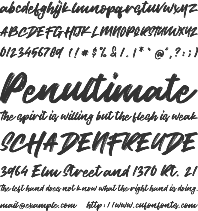 Wild Youth font preview