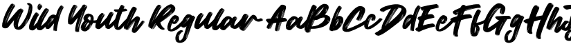 Wild Youth Regular font