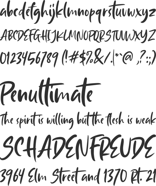 South Louisville font preview