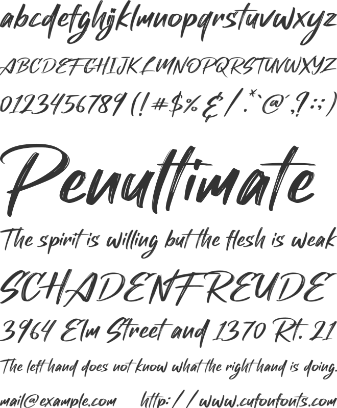 Shockwave font preview