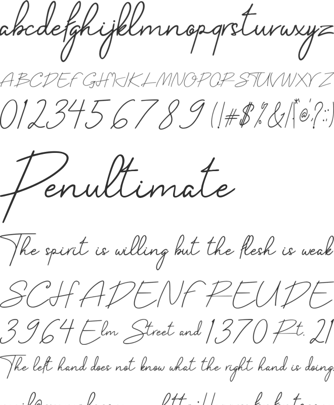 Belliniaja font preview