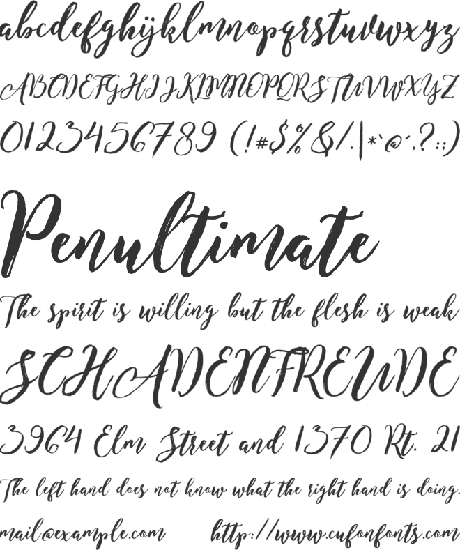 Enchanted Brush font preview
