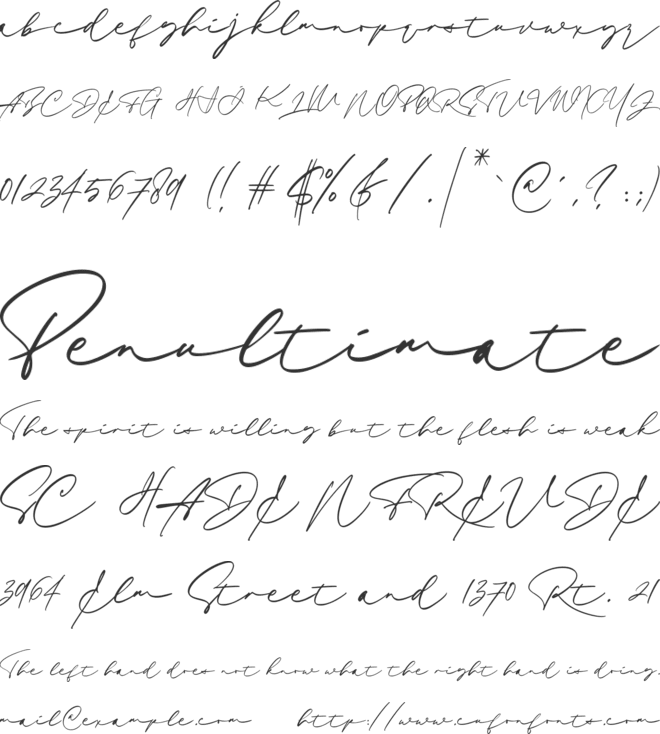 Sieralova font preview