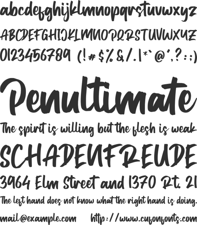 Typestory font preview