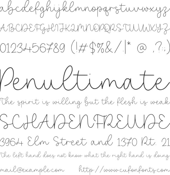 Bearline font preview