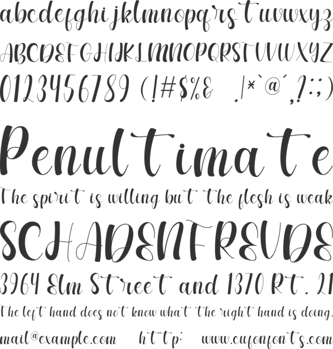 Beautiful font preview