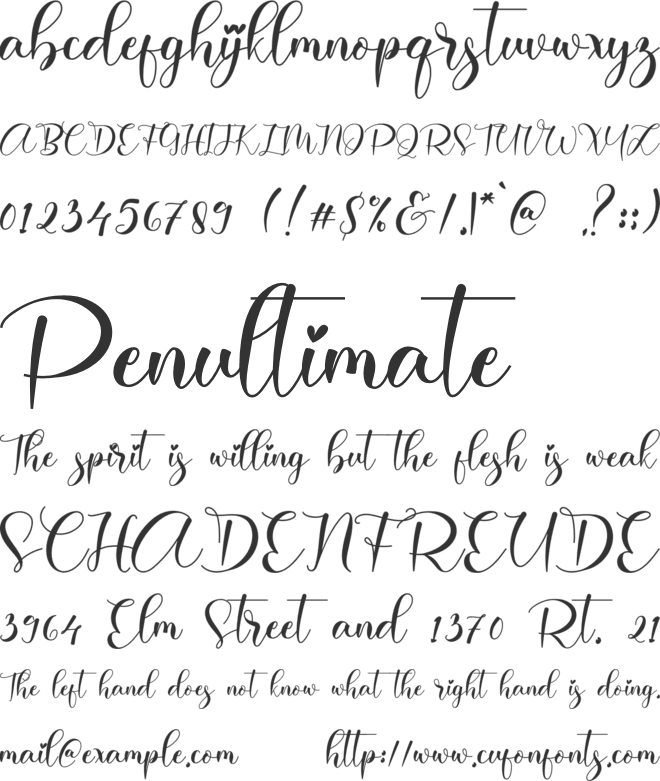 Ainsley font preview