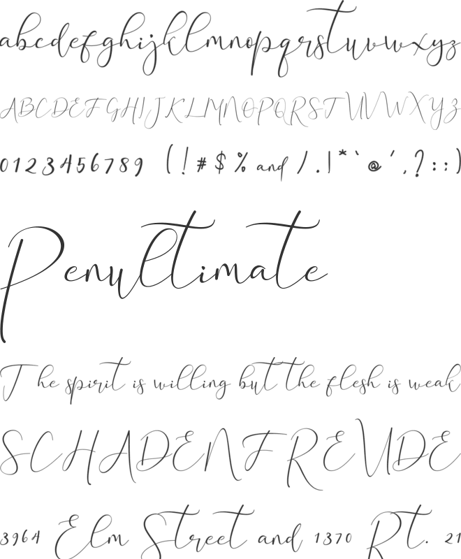 Abiggail font preview