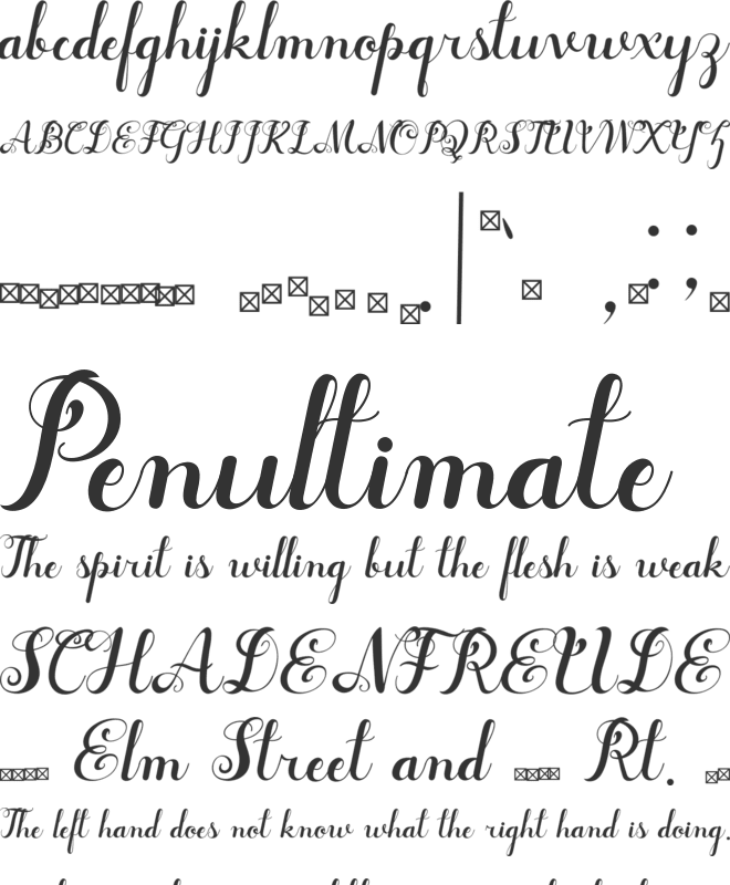 Syarena font preview