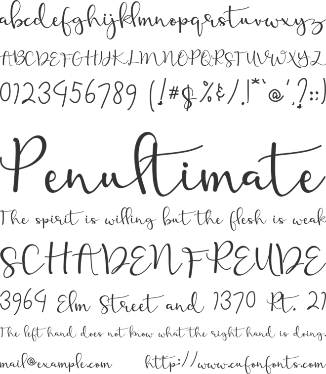 Calliope Script font preview