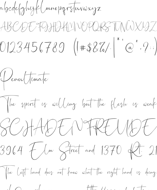 Northwest Signature font preview