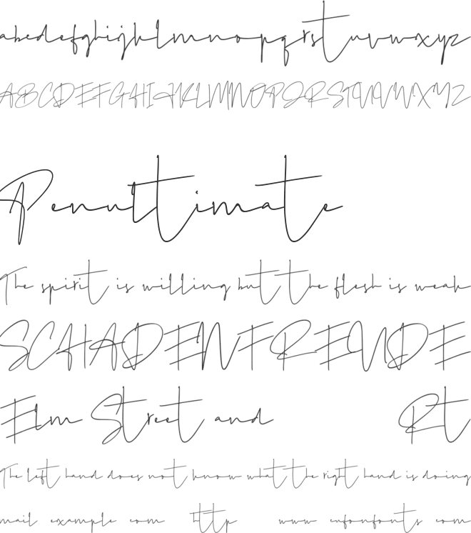 Author Signature font preview