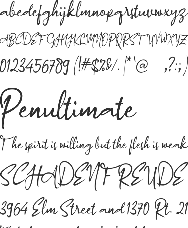 a Authorized Signature font preview