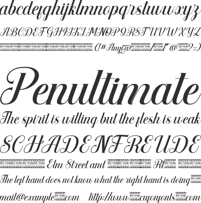 Anyva Personal Use font preview