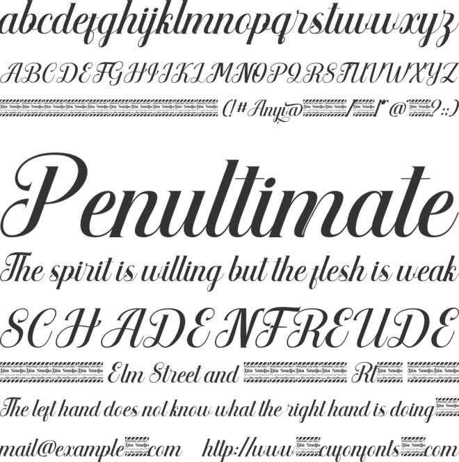 Anyva Personal Use font preview