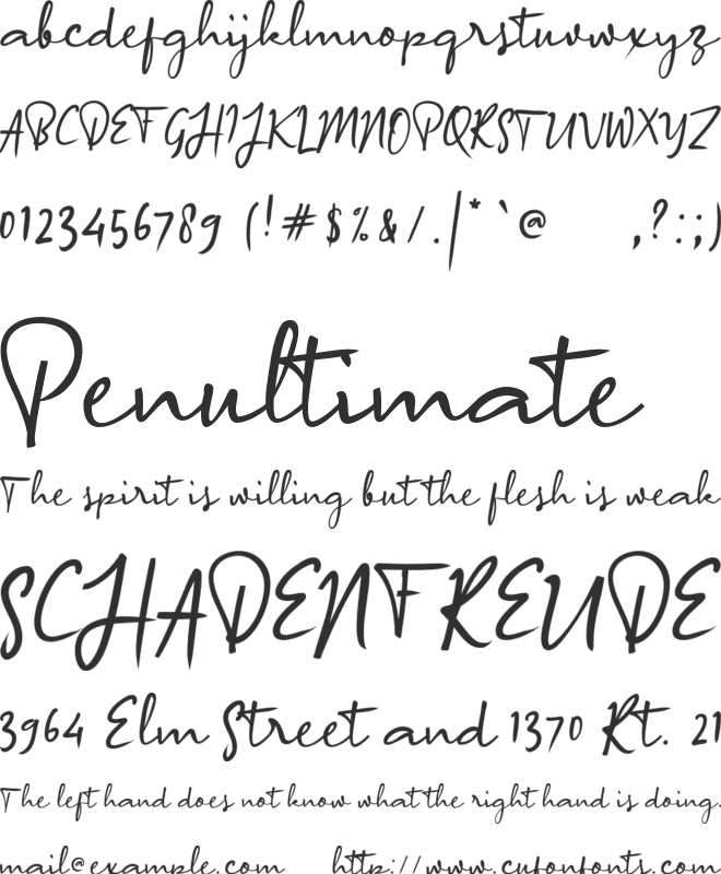 a Arrange Signature font preview