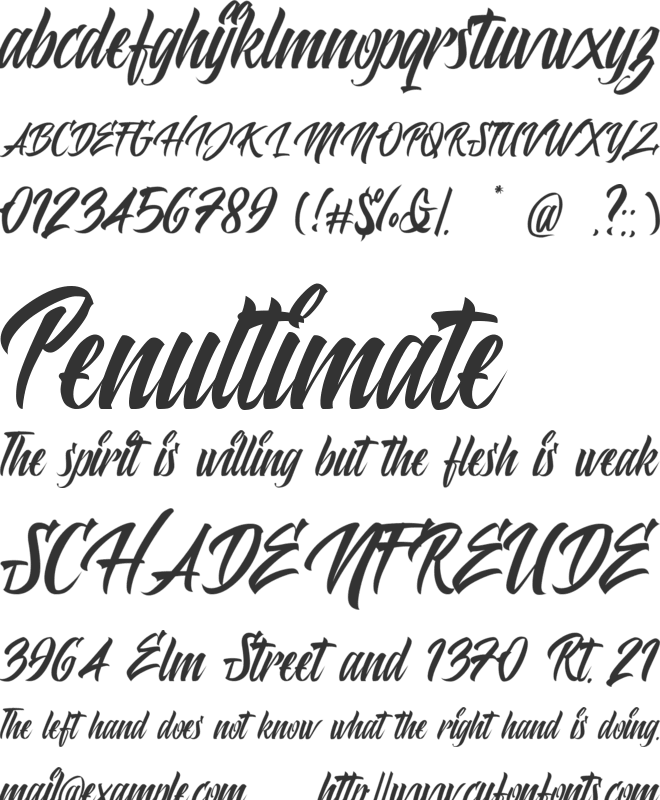 Polaria font preview