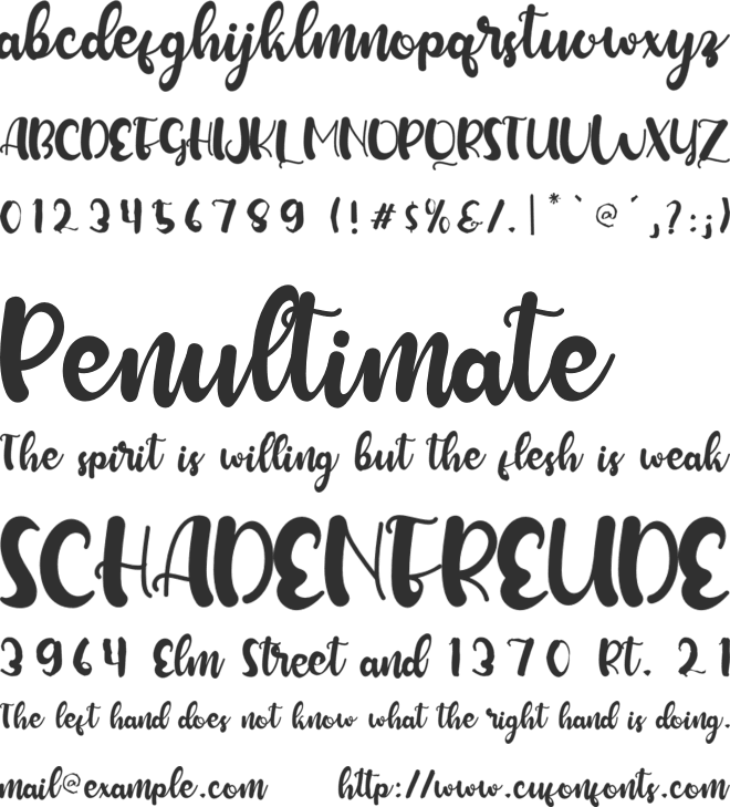 Winterland font preview