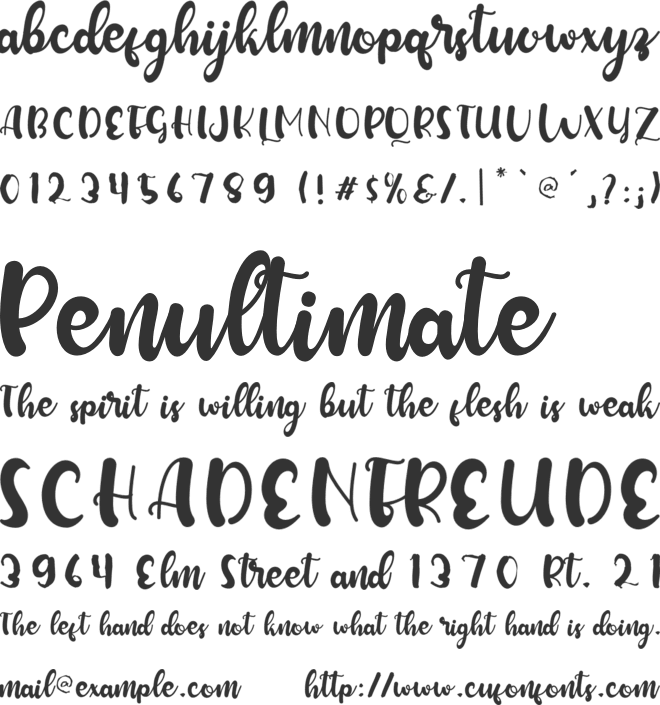 Winterland font preview