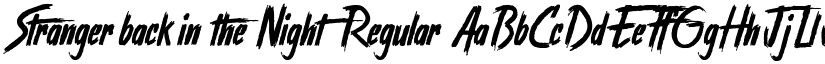 Stranger back in the Night Regular font