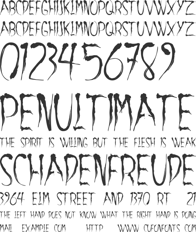 aracnoide font preview