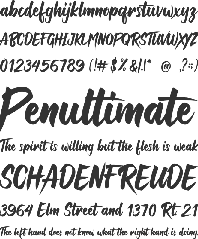 Raizen Anthem font preview