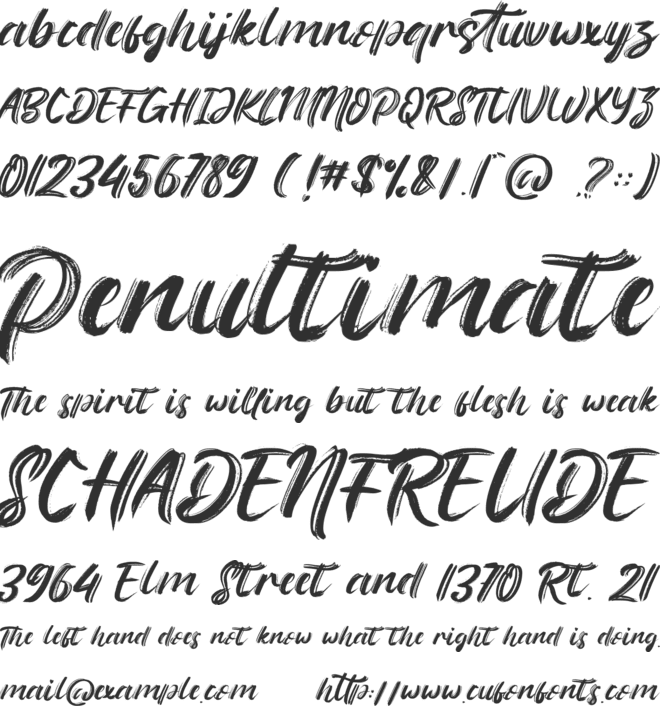 The Flybirds font preview