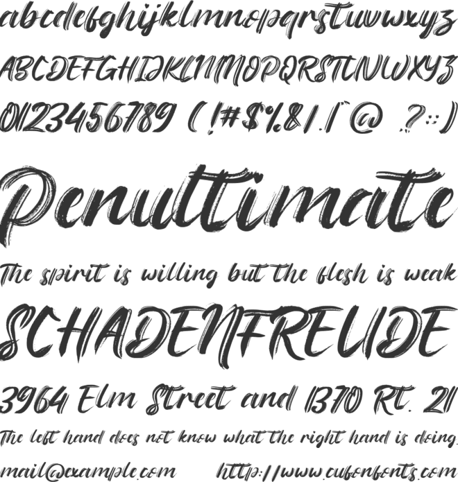 The Flybirds font preview