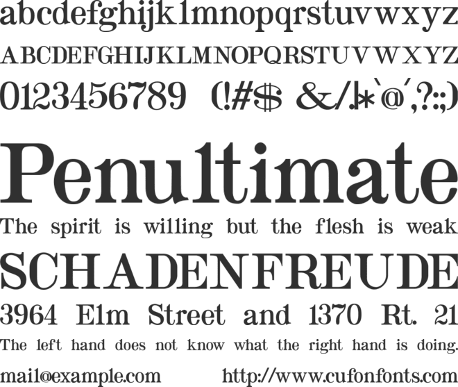 Taylor Serif font preview