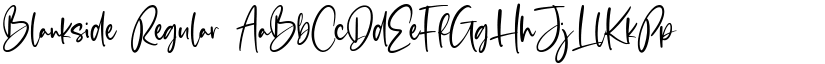 Blankside Regular font