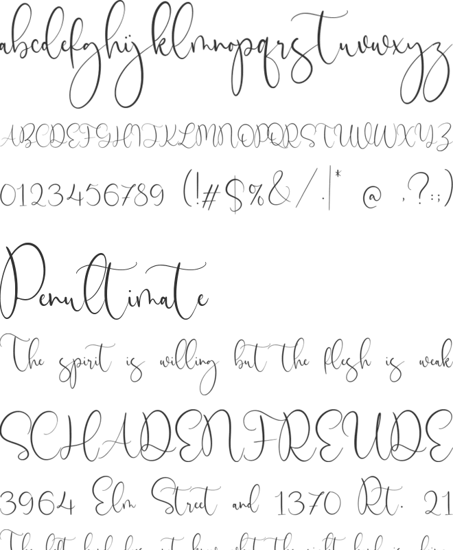 Birdwatch font preview