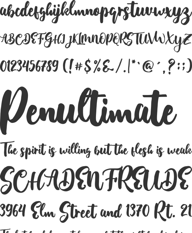 Moleska font preview