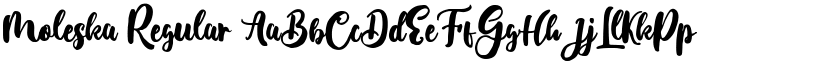 Moleska Regular font