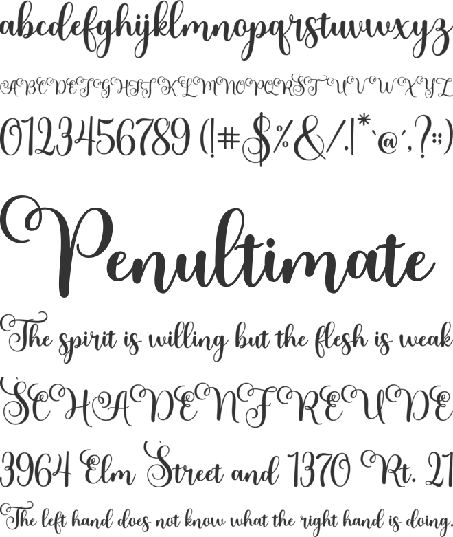 meltisia font preview