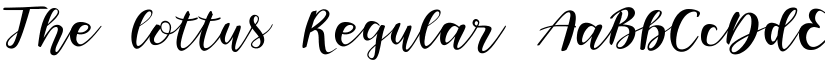 The lottus font download