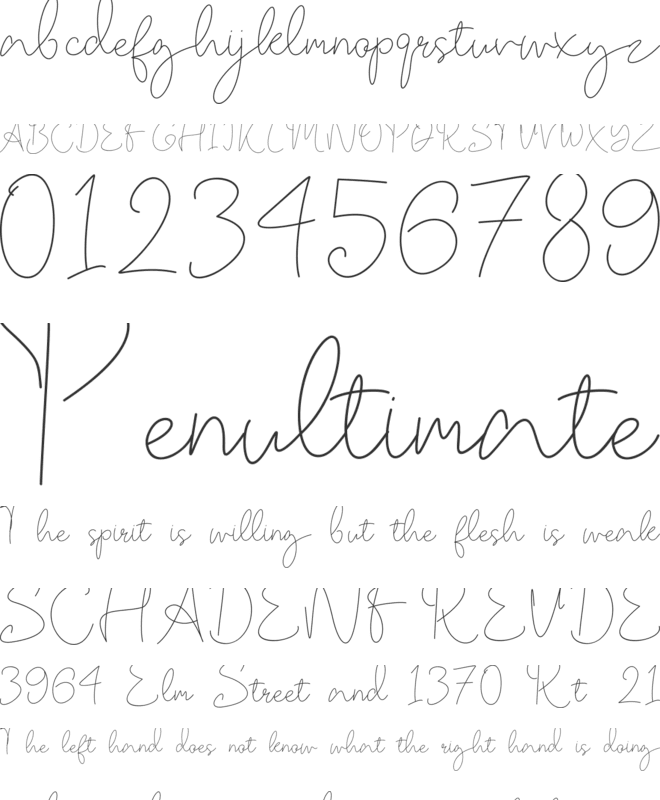 OgardySignature-Trial font preview