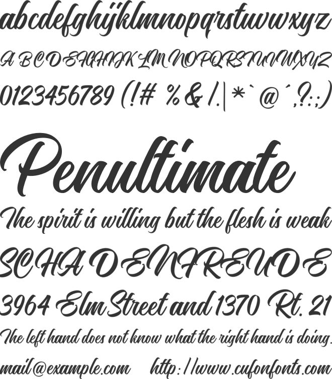 Nostalgic Script font preview