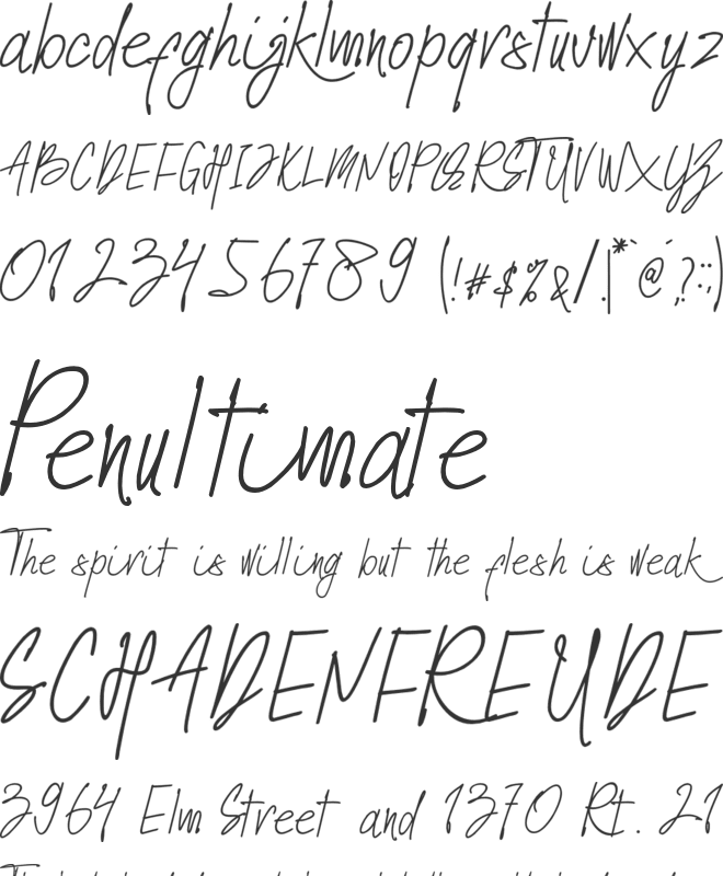 Sttorylink font preview