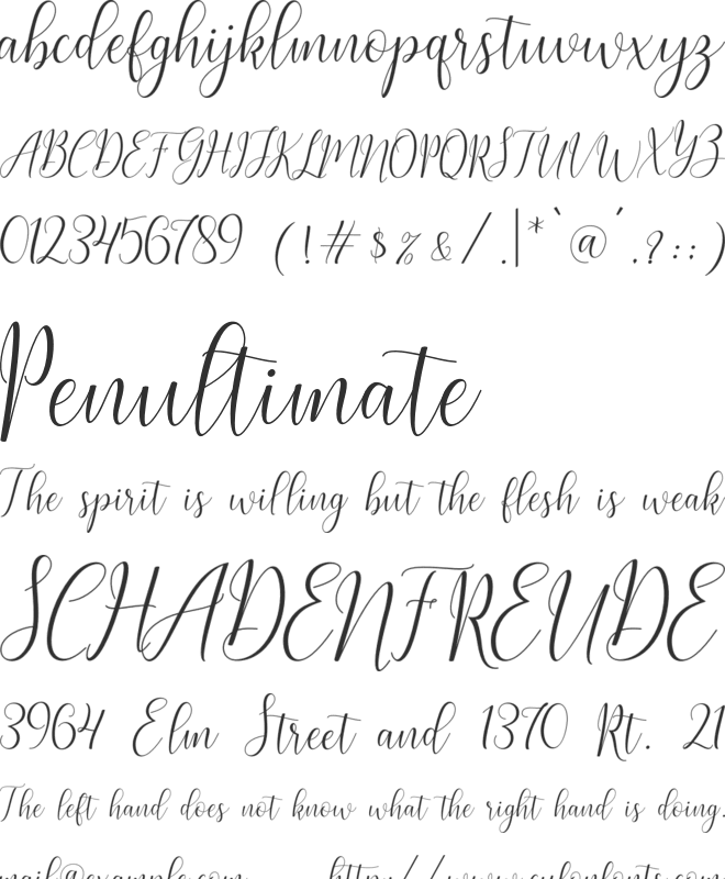 Nostalgia Script font preview