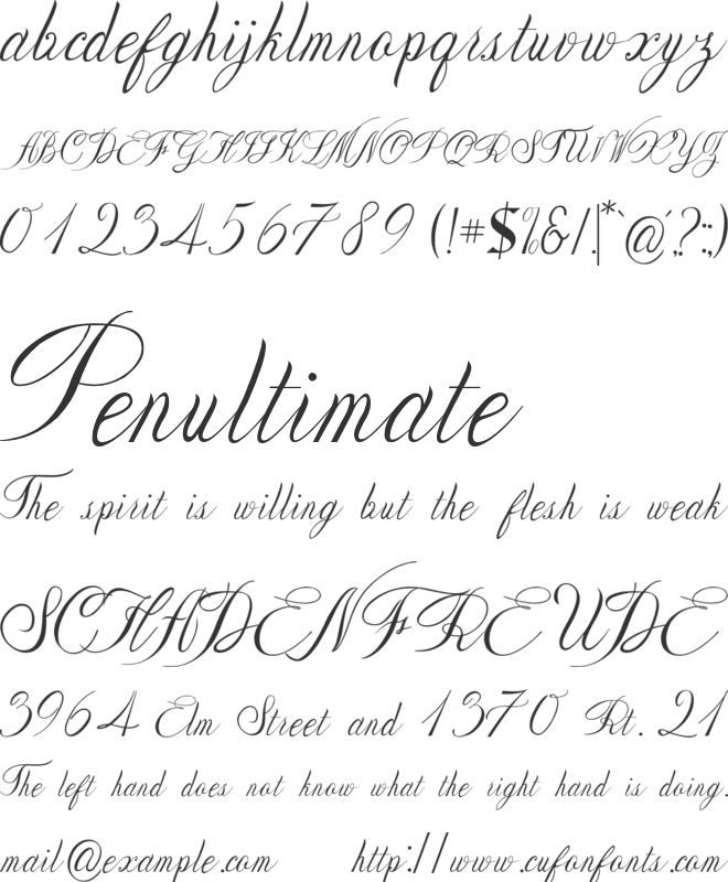 Netnite font preview