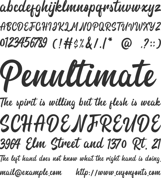 Paradise Script font preview